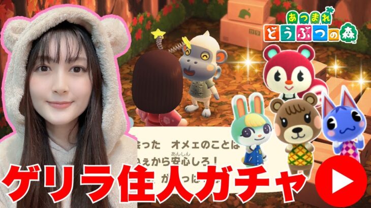【あつまれどうぶつの森】ゲリラあつ森生配信！住人ガチャでまさかに奇跡が…!?【顔出し実況】