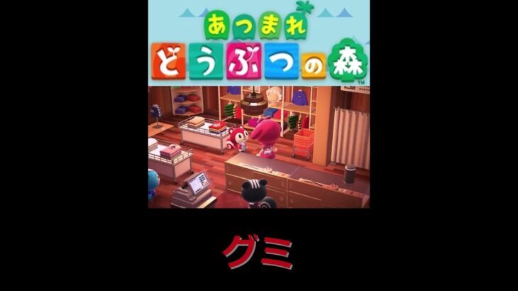 アパレルショップ”客”グミ【あつまれどうぶつの森　ハッピーホームパラダイス】