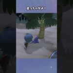 【あつ森】もしかして虫取り下手…？ #あつ森  #あつまれどうぶつの森  #女性ゲーム実況