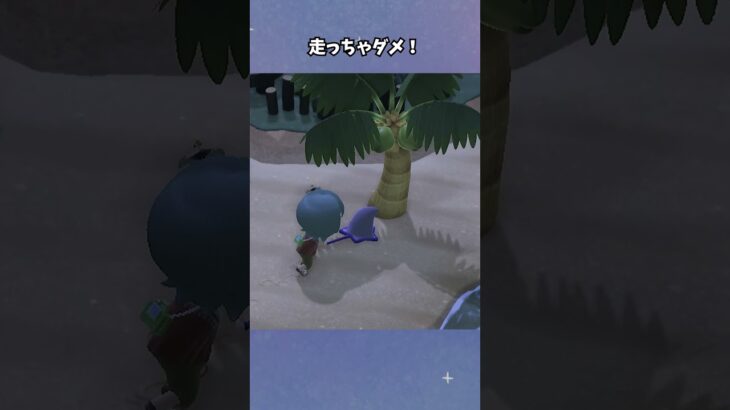 【あつ森】もしかして虫取り下手…？ #あつ森  #あつまれどうぶつの森  #女性ゲーム実況