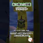 【あつ森】ムシ図鑑 ゾウカブト編🪲🐘