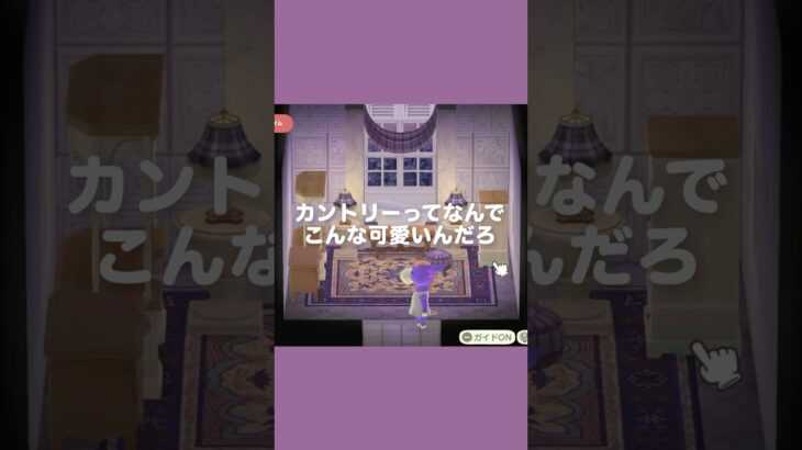 パープル＆ナチュラルなバスルーム作り🛁【あつ森｜ハッピーホームパラダイス】