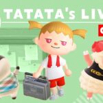 【あつ森】自宅レイアウトとエントランスの島クリエイトライブ #あつまれどうぶつの森