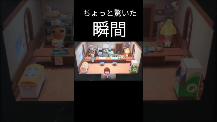 明らかにこいつのいる場所がおかしい#あつ森