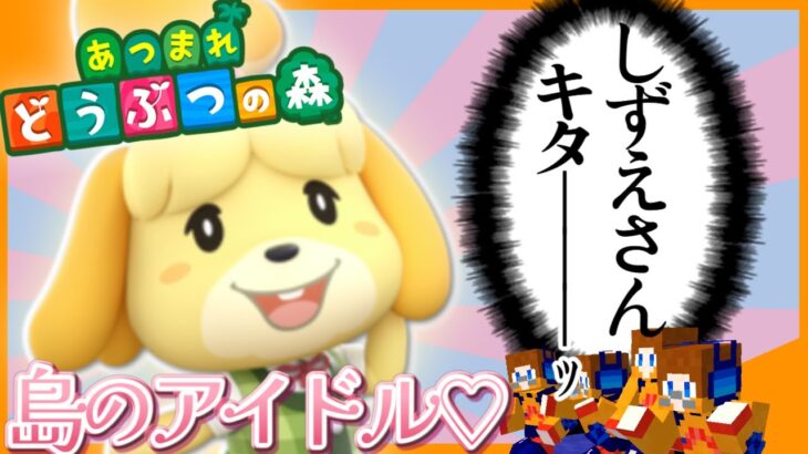 【あつ森】しずえさんの為に評判上げるか｡
