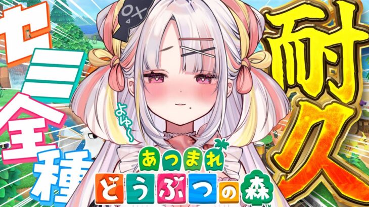 【あつ森】夏だし一緒にセミコンプリートしよっ！✨暑い夏を謳歌しよう！！【＃雪白キャル / #ミクスト】