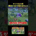 【あつ森】マイル旅行でまさかの激レア島へ！何ベル稼げるかチャレンジ #あつ森 #あつまれどうぶつの森