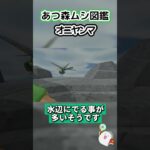 【あつ森】ムシ図鑑 オニヤンマ🐝