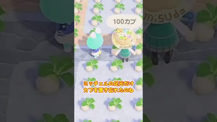 【あつ森】　意図せず捕獲されたミッチェル　　　　　　　　　　　　　　　　 #ゆっくり実況 #あつ森 #あつまれどうぶつの森