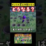 【あつ森】サソリの罠を作ってみた結果 #あつ森 #あつまれどうぶつの森 #レア島 #小ネタ
