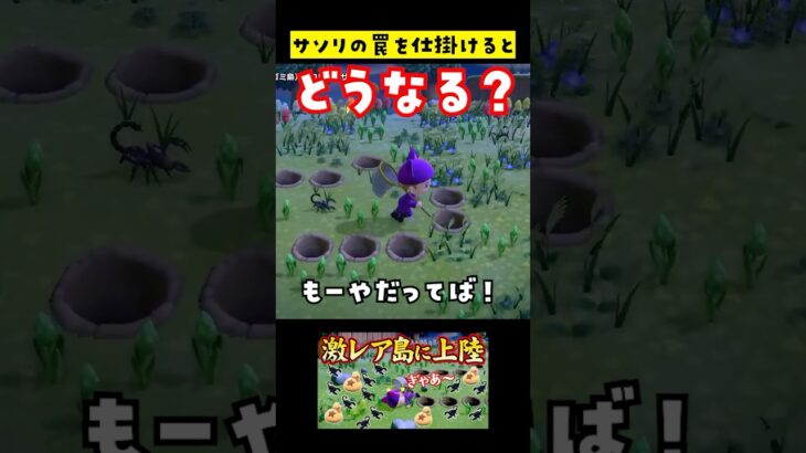 【あつ森】サソリの罠を作ってみた結果 #あつ森 #あつまれどうぶつの森 #レア島 #小ネタ