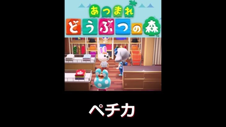 アパレルショップ”客”ペチカ【あつまれどうぶつの森　ハッピーホームパラダイス】