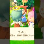 あつ森　リスナーの募金のお手伝い