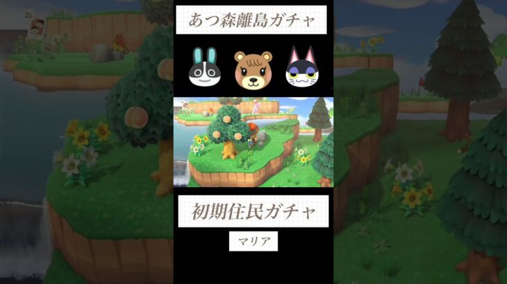 【あつ森】初期住民厳選⑦性格固定ガチャ５連#あつ森 #あつまれどうぶつの森 #離島ガチャ