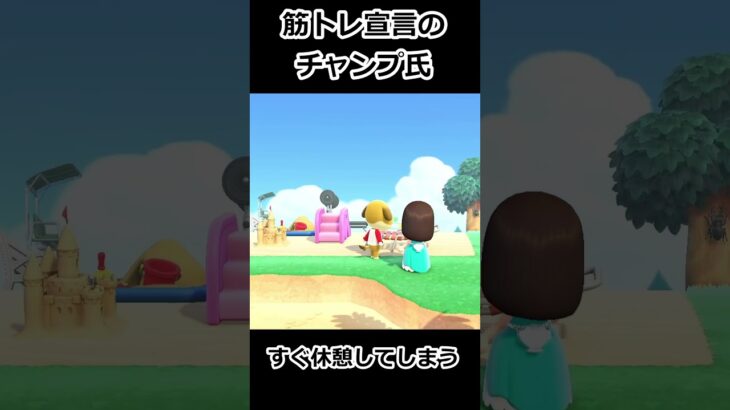 筋トレ宣言のチャンプ氏休むのが早い #あつ森 #あつまれどうぶつの森 #ゲーム実況