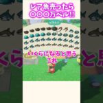 マジ！？レア魚売ったら〇〇〇万ベル！？！？【あつ森】