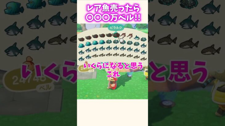 マジ！？レア魚売ったら〇〇〇万ベル！？！？【あつ森】