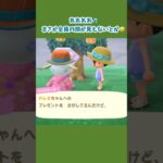 【あつ森】カメラアングル変えたいの！ #あつ森 #あつ森日記 #あつまれどうぶつの森