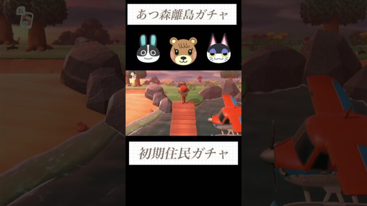 【あつ森】初期住民厳選⑨性格固定ガチャ５連#あつ森 #あつまれどうぶつの森 #離島ガチャ