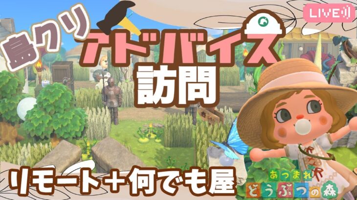 【あつ森】島クリアドバイス訪問｜島訪問｜ライブ【あつまれどうぶつの森】