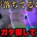 【あつ森】雷が落ちてるけどクワガタ探してこい