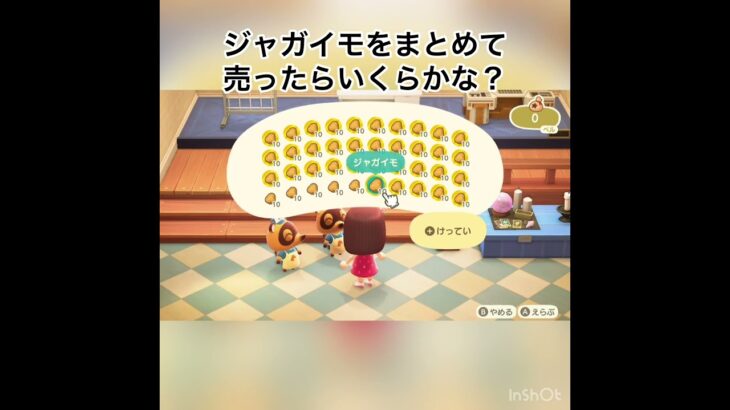 売ったらいくらかな？　#vlog #あつ森 #あつまれどうぶつの森 #こはくちゃんねる2424 #animalcrossing #asmr #acnh #shorts