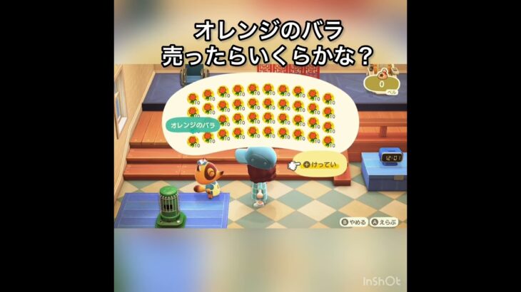 オレンジのバラ売ったらいくらかな？　#vlog #あつ森 #あつまれどうぶつの森 #こはくちゃんねる2424 #animalcrossing #asmr #acnh #shorts