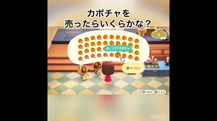売ったらいくらかな？　#vlog #あつ森 #あつまれどうぶつの森 #こはくちゃんねる2424 #animalcrossing #asmr #acnh #shorts