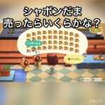 シャボンだま売ったらいくらかな？　#vlog #あつまれどうぶつの森 #あつ森 #animalcrossing #こはくちゃんねる2424 ちゃんねる2424 #acnh #asmr