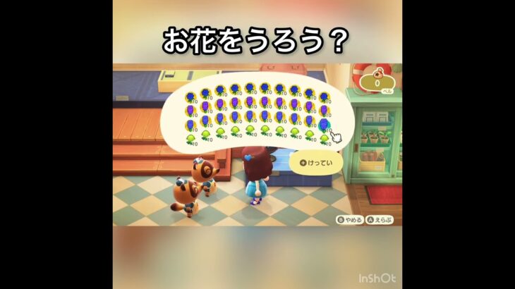 お花売ったらいくらかな？　#vlog #あつまれどうぶつの森 #あつ森 #animalcrossing #こはくちゃんねる2424 ちゃんねる2424 #acnh #asmr #shorts