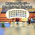 あおいパンジー売ったらいくらかな？　#vlog #あつ森 #あつまれどうぶつの森 #animalcrossing #こはくちゃんねる2424 #asmr #acnh