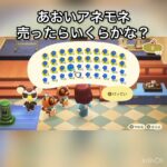 あおいアネモネ売ったらいくらかな？　#vlog #あつ森 #あつまれどうぶつの森 #animalcrossing #こはくちゃんねる2424 #asmr #acnh