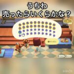 　売ったらいくらかな？　#vlog #あつ森 #あつまれどうぶつの森 #animalcrossing #こはくちゃんねる2424 #asmr #acnh