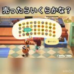 売ったらいくらかな？　#vlog #あつ森 #あつまれどうぶつの森 #animalcrossing #こはくちゃんねる2424 #asmr #acnh