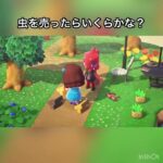 　売ったらいくらかな？　#vlog #あつ森 #あつまれどうぶつの森 #animalcrossing #こはくちゃんねる2424 #asmr #acnh