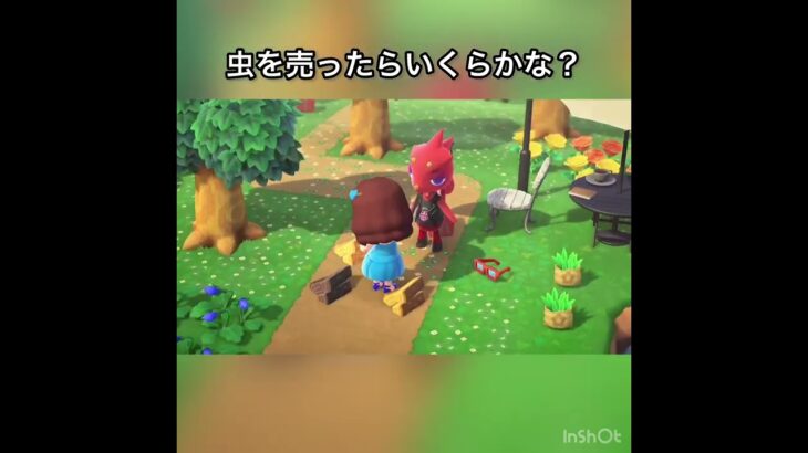 　売ったらいくらかな？　#vlog #あつ森 #あつまれどうぶつの森 #animalcrossing #こはくちゃんねる2424 #asmr #acnh