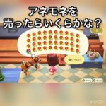 あかい花を売ったらいくらかな？　#vlog #あつ森 #あつまれどうぶつの森 #animalcrossing #こはくちゃんねる2424 #asmr #acnh