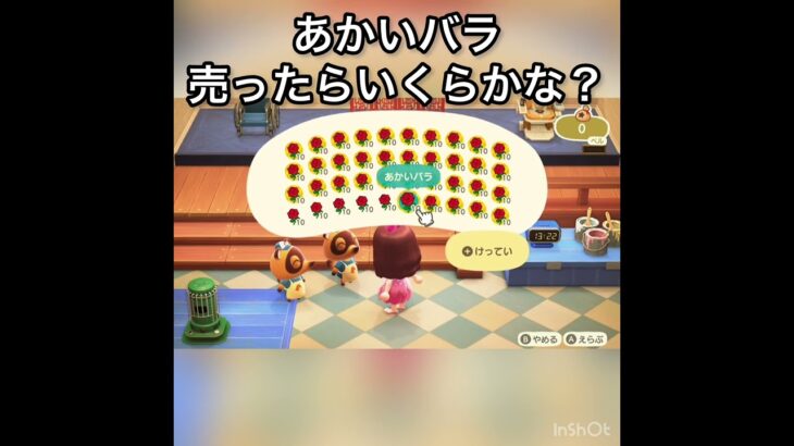あかい花を売ったらいくらかな？　#vlog #あつ森 #あつまれどうぶつの森 #animalcrossing #こはくちゃんねる2424 #asmr #acnh