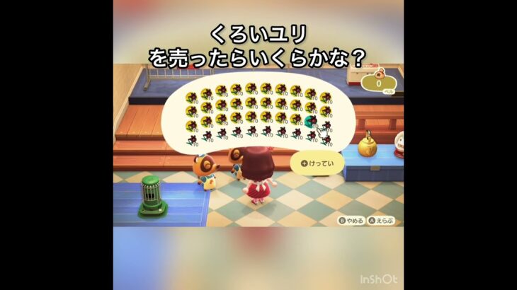 くろいユリ売ったらいくらかな？　#vlog #あつ森 #あつまれどうぶつの森 #animalcrossing #asmr #acnh #こはくちゃんねる2424