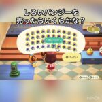 パンジー売ったらいくらかな？　#vlog #あつ森 #あつまれどうぶつの森 #animalcrossing #asmr #acnh #こはくちゃんねる2424