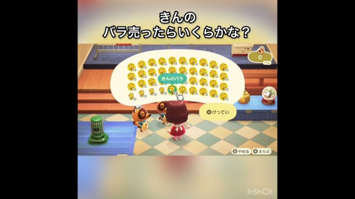 売ったらいくらかな？　#vlog #あつ森 #あつまれどうぶつの森 #animalcrossing #asmr #acnh #こはくちゃんねる2424