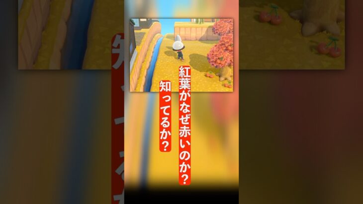 紅葉はなぜ赤いのか ？#ねっぺぺちゃんねる #あつ森 #あつまれどうぶつの森 #voicevoxnemo
