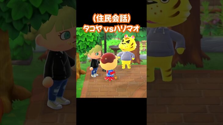 【あつ森/住民会話】タコヤvsハリマオ