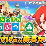 【あつ森】とたけけさんライブ来るか?! #あつまれどうぶつの森 #雑談 #vtuber #初見さん大歓迎
