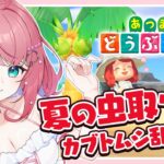 🌸あつ森🌸夏の虫取り祭り！カブトムシいっぱい売り捌くぞー！！【個人vtuber】初見歓迎 雑談