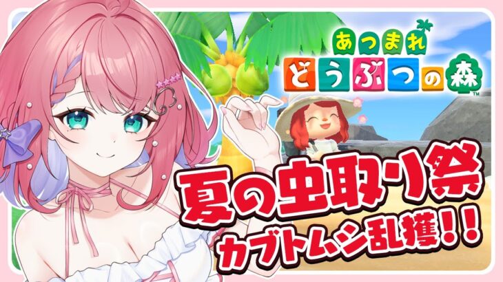🌸あつ森🌸夏の虫取り祭り！カブトムシいっぱい売り捌くぞー！！【個人vtuber】初見歓迎 雑談