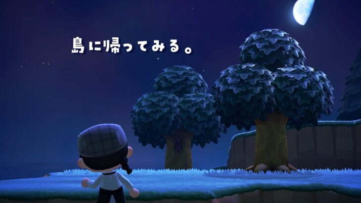［ #あつ森 ］ひさびさに島に帰ります。チルい金稼ぎ見てって～～や [ #vtuber / #海老つむぐ ]