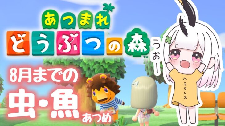 【#あつ森 #雑談 】８月までのカブトムシ・クワガタを集めたい！今日は虫取りデー🐝#新人vtuber #freetalk