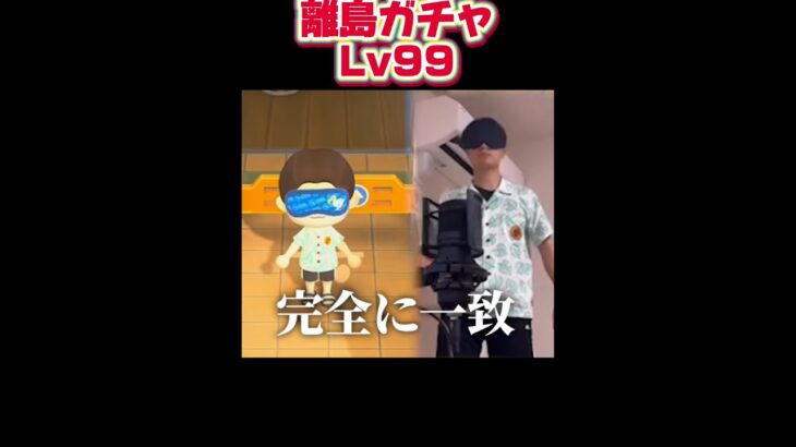 【あつ森】目隠しで離島がオモロすぎたw #あつ森