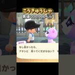 住民が支払える最高金額はコレ？w【あつ森】